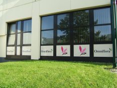 logo-werbetechnik-tschasche-muehlheim-schaufenster-fassadenbeschriftung-DSCF2675